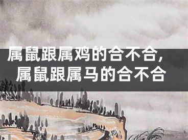属鼠跟属鸡的合不合,属鼠跟属马的合不合