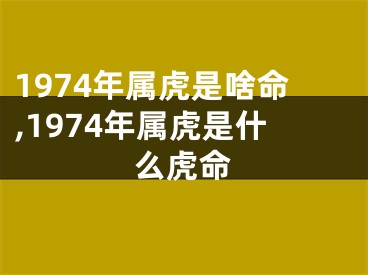 1974年属虎是啥命,1974年属虎是什么虎命