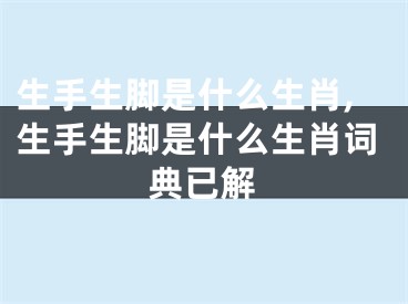 生手生脚是什么生肖,生手生脚是什么生肖词典已解