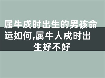 属牛戍时出生的男孩命运如何,属牛人戌时出生好不好