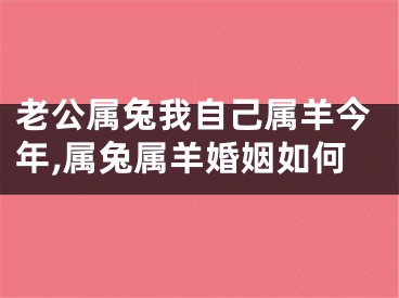 老公属兔我自己属羊今年,属兔属羊婚姻如何