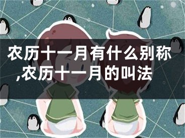 农历十一月有什么别称,农历十一月的叫法