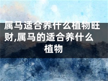 属马适合养什么植物旺财,属马的适合养什么植物