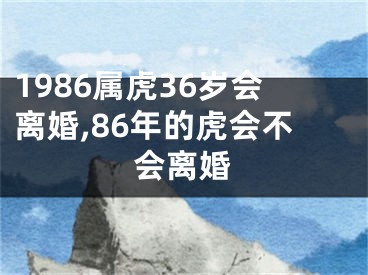 1986属虎36岁会离婚,86年的虎会不会离婚