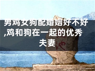 男鸡女狗配婚姻好不好,鸡和狗在一起的优秀夫妻