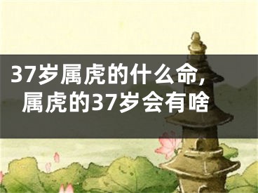 37岁属虎的什么命,属虎的37岁会有啥