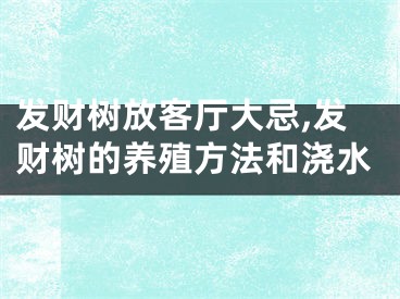 发财树放客厅大忌,发财树的养殖方法和浇水