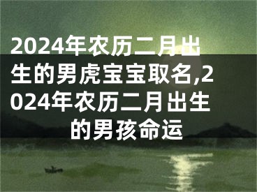 2024年农历二月出生的男虎宝宝取名,2024年农历二月出生的男孩命运
