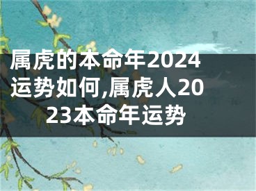 属虎的本命年2024运势如何,属虎人2023本命年运势