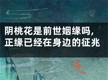 阴桃花是前世姻缘吗,正缘已经在身边的征兆