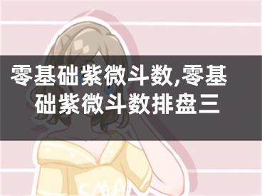 零基础紫微斗数,零基础紫微斗数排盘三