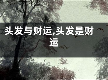 头发与财运,头发是财运