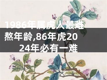 1986年属虎人最难熬年龄,86年虎2024年必有一难