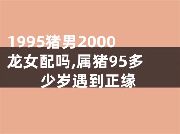 1995猪男2000龙女配吗,属猪95多少岁遇到正缘