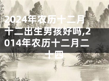 2024年农历十二月十二出生男孩好吗,2014年农历十二月二十四