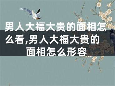 男人大福大贵的面相怎么看,男人大福大贵的面相怎么形容