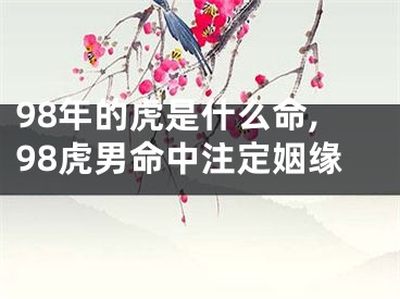 98年的虎是什么命,98虎男命中注定姻缘