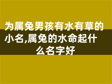 为属兔男孩有水有草的小名,属兔的水命起什么名字好