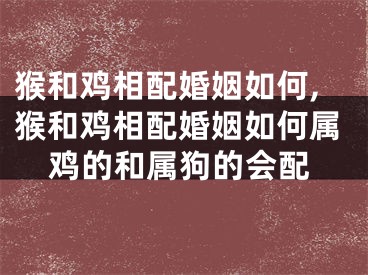 猴和鸡相配婚姻如何,猴和鸡相配婚姻如何属鸡的和属狗的会配
