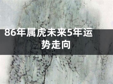86年属虎未来5年运势走向