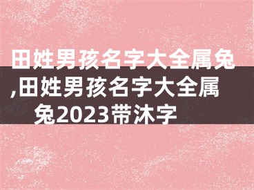 田姓男孩名字大全属兔,田姓男孩名字大全属兔2023带沐字