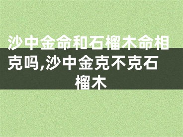 沙中金命和石榴木命相克吗,沙中金克不克石榴木