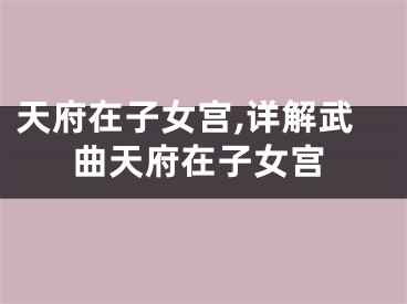 天府在子女宫,详解武曲天府在子女宫
