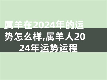 属羊在2024年的运势怎么样,属羊人2024年运势运程