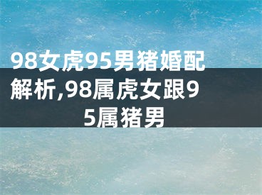 98女虎95男猪婚配解析,98属虎女跟95属猪男