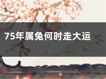 75年属兔何时走大运