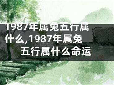 1987年属兔五行属什么,1987年属兔五行属什么命运