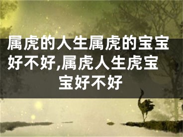 属虎的人生属虎的宝宝好不好,属虎人生虎宝宝好不好