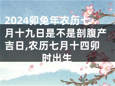 2024卯兔年农历七月十九日是不是剖腹产吉日,农历七月十四卯时出生