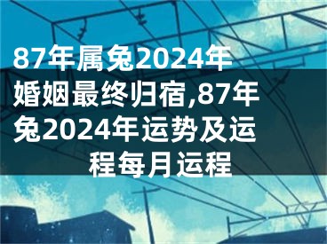 87年属兔2024年婚姻最终归宿,87年兔2024年运势及运程每月运程