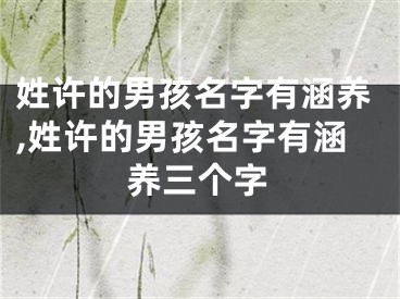 姓许的男孩名字有涵养,姓许的男孩名字有涵养三个字