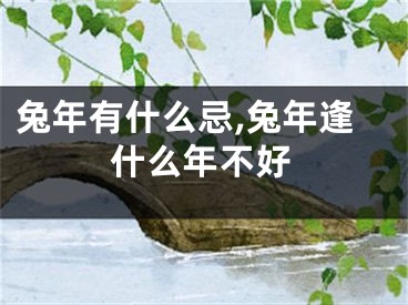 兔年有什么忌,兔年逢什么年不好