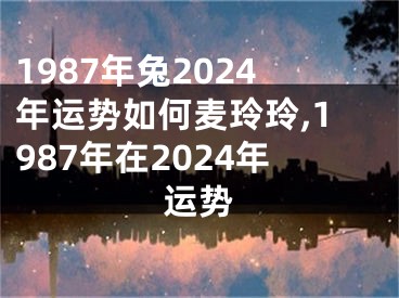 1987年兔2024年运势如何麦玲玲,1987年在2024年运势