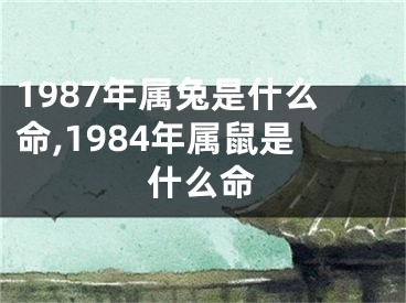 1987年属兔是什么命,1984年属鼠是什么命