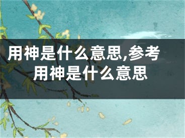 用神是什么意思,参考用神是什么意思