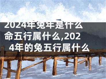 2024年兔年是什么命五行属什么,2024年的兔五行属什么