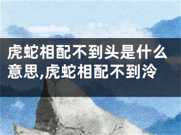 虎蛇相配不到头是什么意思,虎蛇相配不到泠
