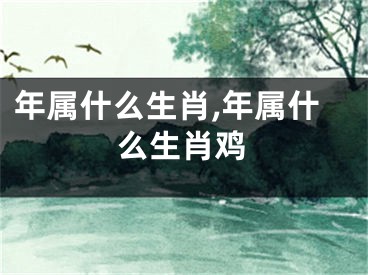 年属什么生肖,年属什么生肖鸡