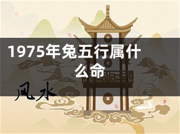 1975年兔五行属什么命