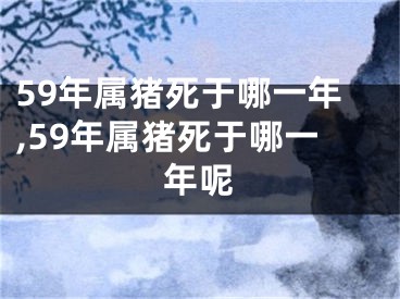 59年属猪死于哪一年,59年属猪死于哪一年呢