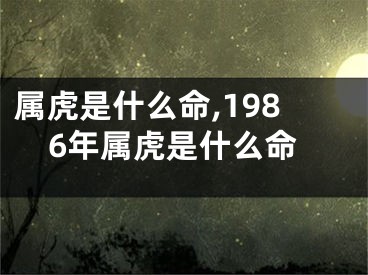 属虎是什么命,1986年属虎是什么命