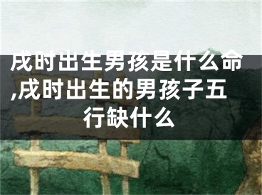 戌时出生男孩是什么命,戌时出生的男孩子五行缺什么