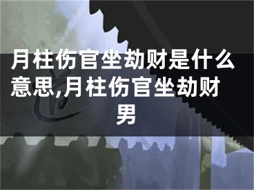 月柱伤官坐劫财是什么意思,月柱伤官坐劫财男