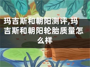 玛吉斯和朝阳测评,玛吉斯和朝阳轮胎质量怎么样