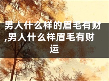 男人什么样的眉毛有财,男人什么样眉毛有财运