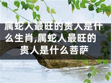 属蛇人最旺的贵人是什么生肖,属蛇人最旺的贵人是什么菩萨